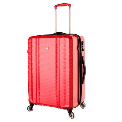 Mala-Swisswin-Bernese---Media6671