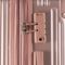 Mala de Bordo com Frasqueira Monte Carlo Rose – Conjunto Padrão ANAC para Cabine – foto 7